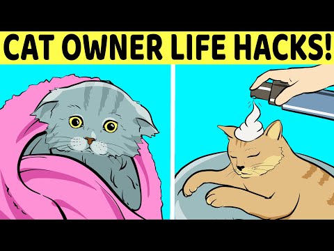 12 Life Hacks For Cat Owners