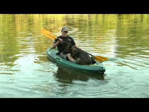 He Is Big But He Can Sit Small To Take A Kayaking Ride