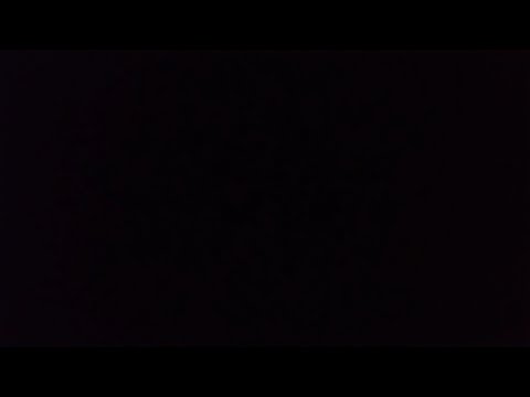 We Did It: Malena Perez