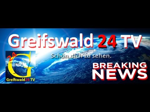 BFC Dynamo Berlin / FC Pommern Greifswald 2013