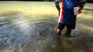 preview picture of video 'Spa Ikan Di Pusat Rekreasi Tagal Kampung Poturidong Kiulu, Sabah'