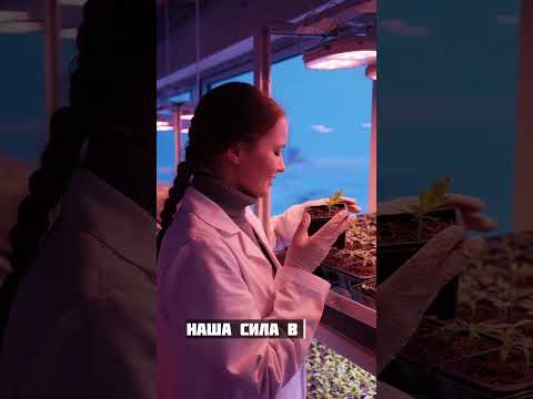 Музыкальный клип на заказ