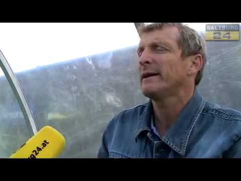 Landesliga-Special: USC Eugendorf