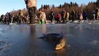 Рыболовный клуб марлин истра