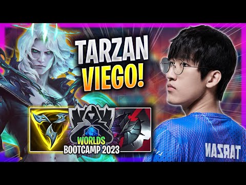 TARZAN IS SO GOOD WITH VIEGO! - LNG Tarzan Plays Viego JUNGLE vs Evelynn! | Bootcamp 2023