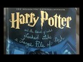 Harry Potter And The Portrait Of What Looked Like A Large Pile Of Ash