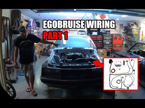 EgoBruise Wiring Part 1 - Laying out the Ford Control Pack Harness! - Episode 40