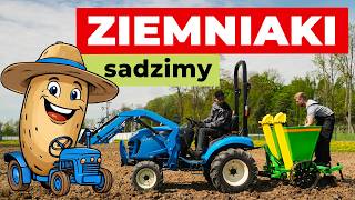 LS XJ25 HST mini tractor | Image 6 - Agroline