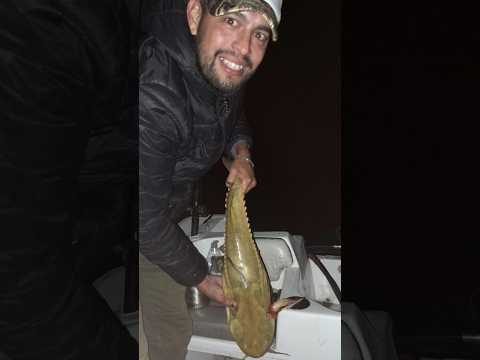 ##Santa Elena Entre ríos ##