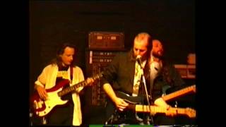 Jimmy LaFave - She Belongs To Me (live in Italy 1994)