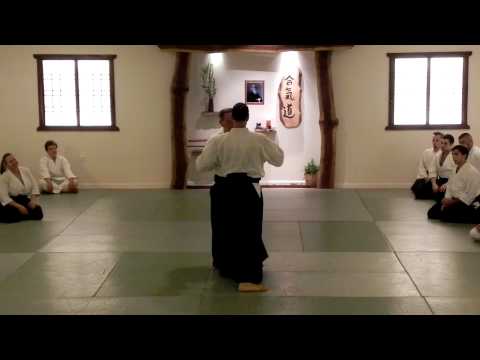 Toshiyuki Arai Shihan seminar