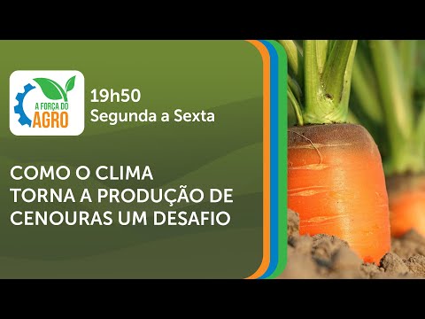 A Força do Agro, com Joice Maffezzolli - Como o clima torna a produção de cenouras um desafio