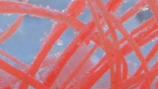 willkommen - text and translation