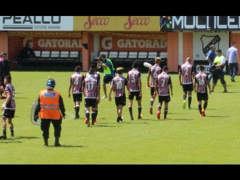 Compacto All Boys 1-0 Chacarita  - Nacional B 2016/217