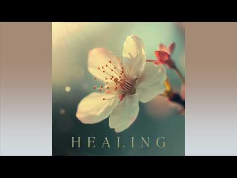 Hiroki Okano - Starry Night