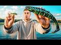 EVERY Fish Bigger Bait Until It Gets Out Of Hand