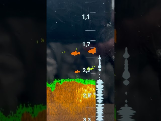 Vídeo relacionado con Deeper Smart Sonar Chirp+ 3 Fishfinder (ITGAM1951)