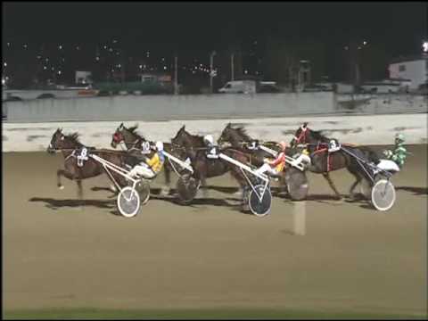 Trotto 26/02/2017 - 9ª corsa