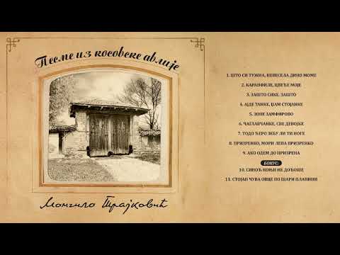 Momčilo Trajković - Ajde tanke džam Stojanke | [Official Music Audio]