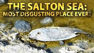 preview picture of video 'The Salton Sea: Most Disgusting Place Ever?'