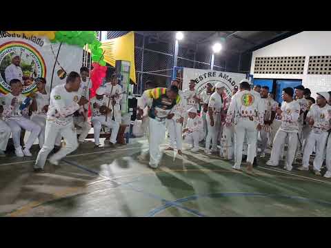 Alegria do Mestre Canjiquinha e Mestre Roque, Boa Nova Bahia. Formatura de Contra Mestre 2026