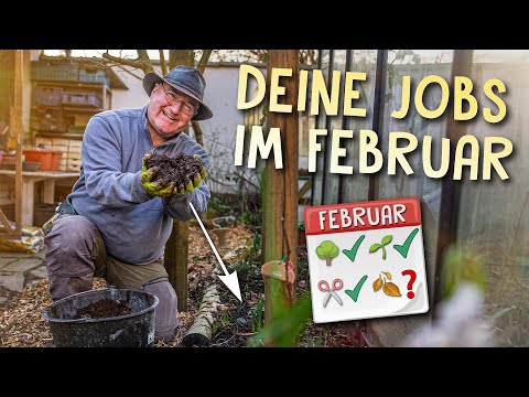, title : 'Diese Gartenarbeiten solltest du im Februar erledigen 🌱'