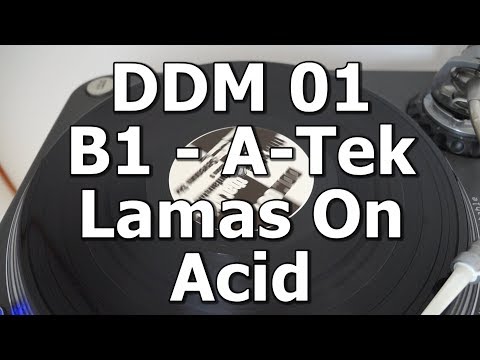 DDM 01 - B1 - A-Tek - Lamas On Acid