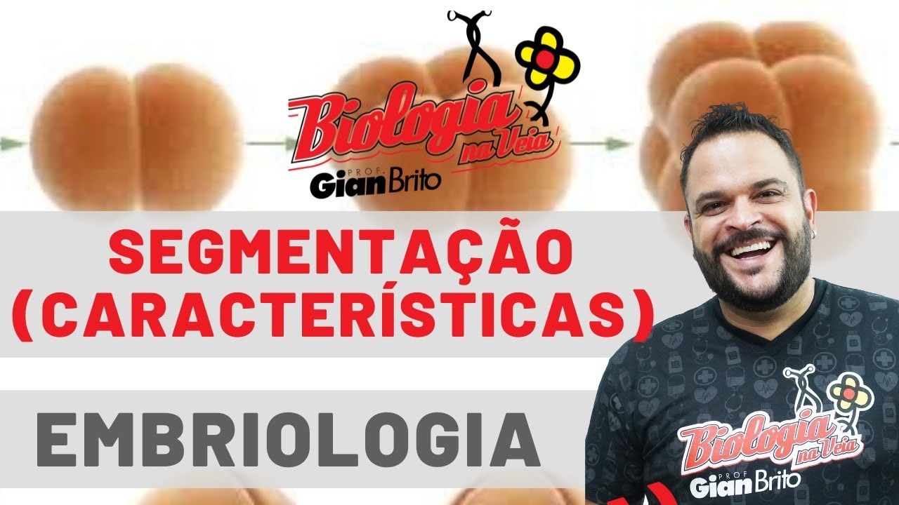 SEGMENTAÇÃO ou CLIVAGEM - EMBRIOLOGIA