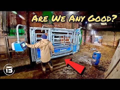Our Beef Benchmarking Results | Are We Really Any Good?!