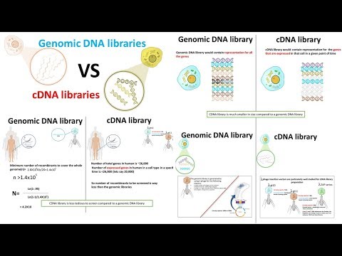 cDNA library vs Genomic DNA library