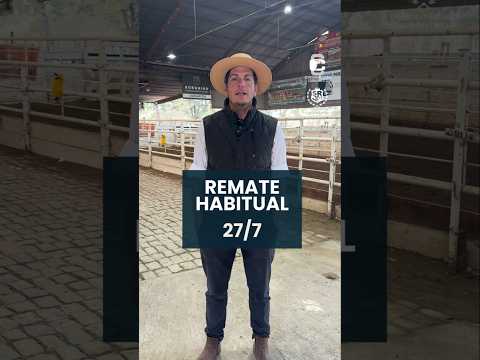 Remate habitual 27/7/2026.