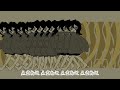 【中文字幕】ルシノ - ループザルーム / 初音ミク