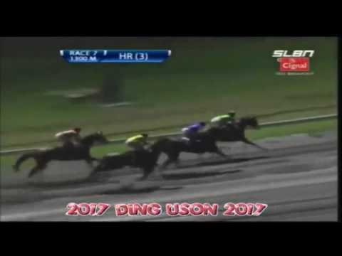 SLLP | Race 7 | 3rd place - #6 Royal Chica | 2017/02/10