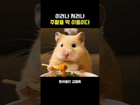 조삼모사