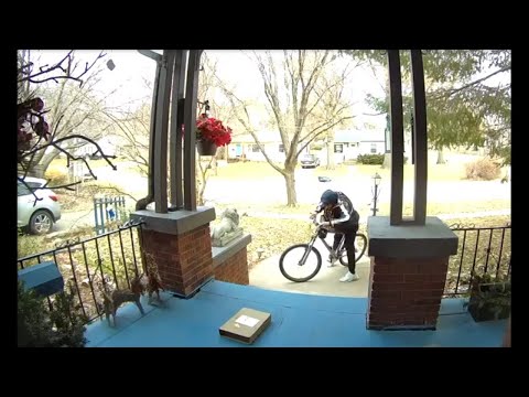 WATCH: Man finds 'Where's Waldo?' book on Lincoln porch, steals it