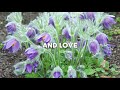 Lenny Kravitz - Let Love Rule (with Lyrics)