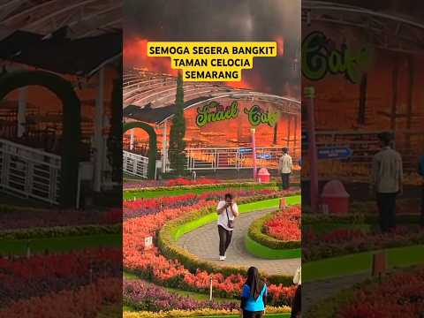 PENYEBAB KEBAKARAN?Taman Celosia Semarang #musibah #travel  #shorts