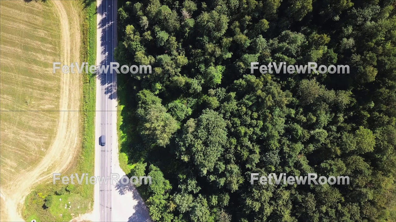 Asphalt road between forest and field.