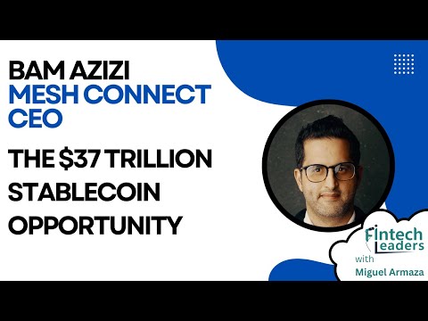 The Stablecoin Opportunity - Bam Azizi, CEO of Mesh Connect