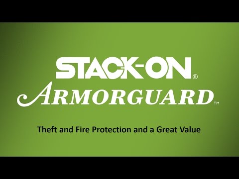 Stack-On Safe Video #1