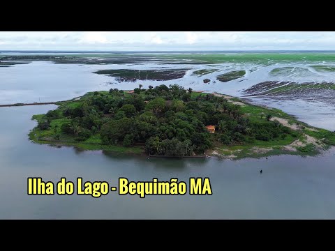 Nossos campos estão ficando lindos após o início das chuvas (ilha do lago Bequimão Maranhão)