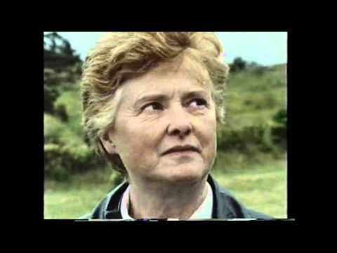 The Irish in Australia