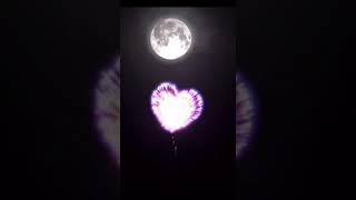 Download lagu Viral Kembang api keren 2021 #shorts mp3 Download lagu Viral Kembang api keren 2021 #shorts mp3