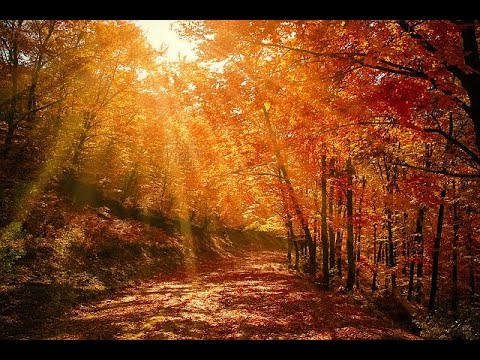 Algis Frankonis - Rudens lapas (Jau ruduo)