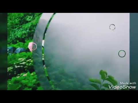 Veena Jituri Adhir man zale