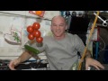 Meet Record-Setting Astronaut Jeff Williams