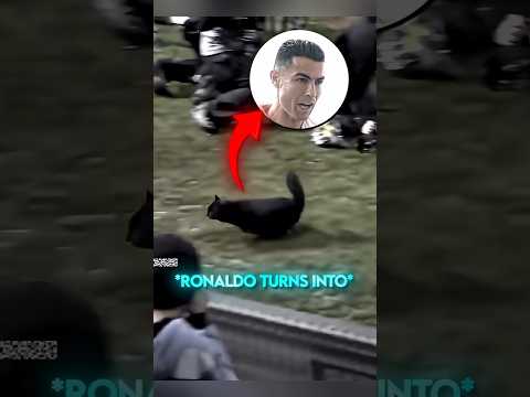 القطة التي صدمت رونالدو ⚽🐱#shorts #football
