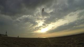 Essence STD Beach Session | IckyTV