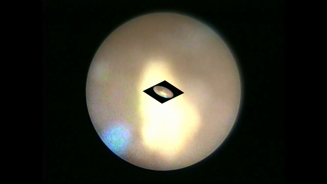 Alfonso José Fernández Carreño-11