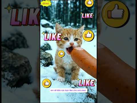 2 MẸ CON MÈO ĐÁNG THƯƠNG VÀ CHÚ CHÓ TỐT BỤNG 🐱🐶#shorts